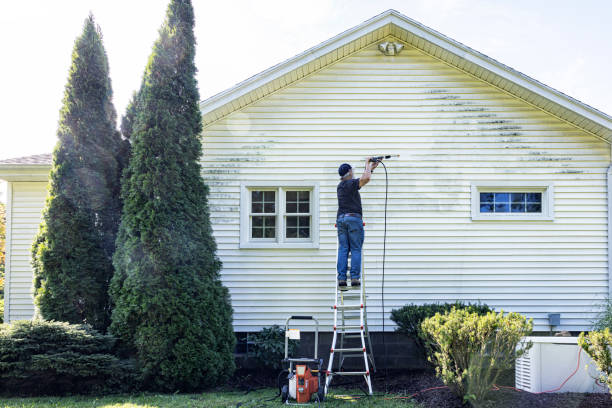 Animal Enclosure Cleaning in Dover, DE